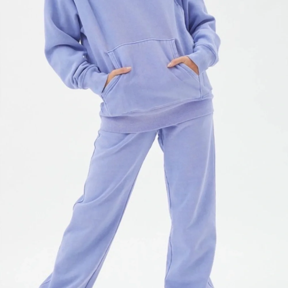 Vintage Champion Classic Reverse Weave Sweatpant in Light Blue - Picture 4 of 6